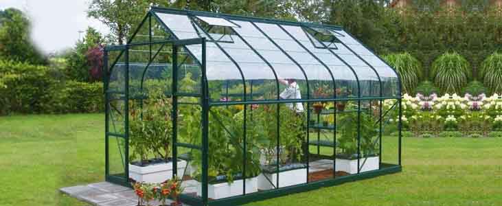 Greenhouse and Cold Frame