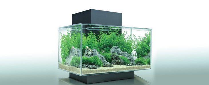 Acrylic Aquarium - Pleasant Plastic