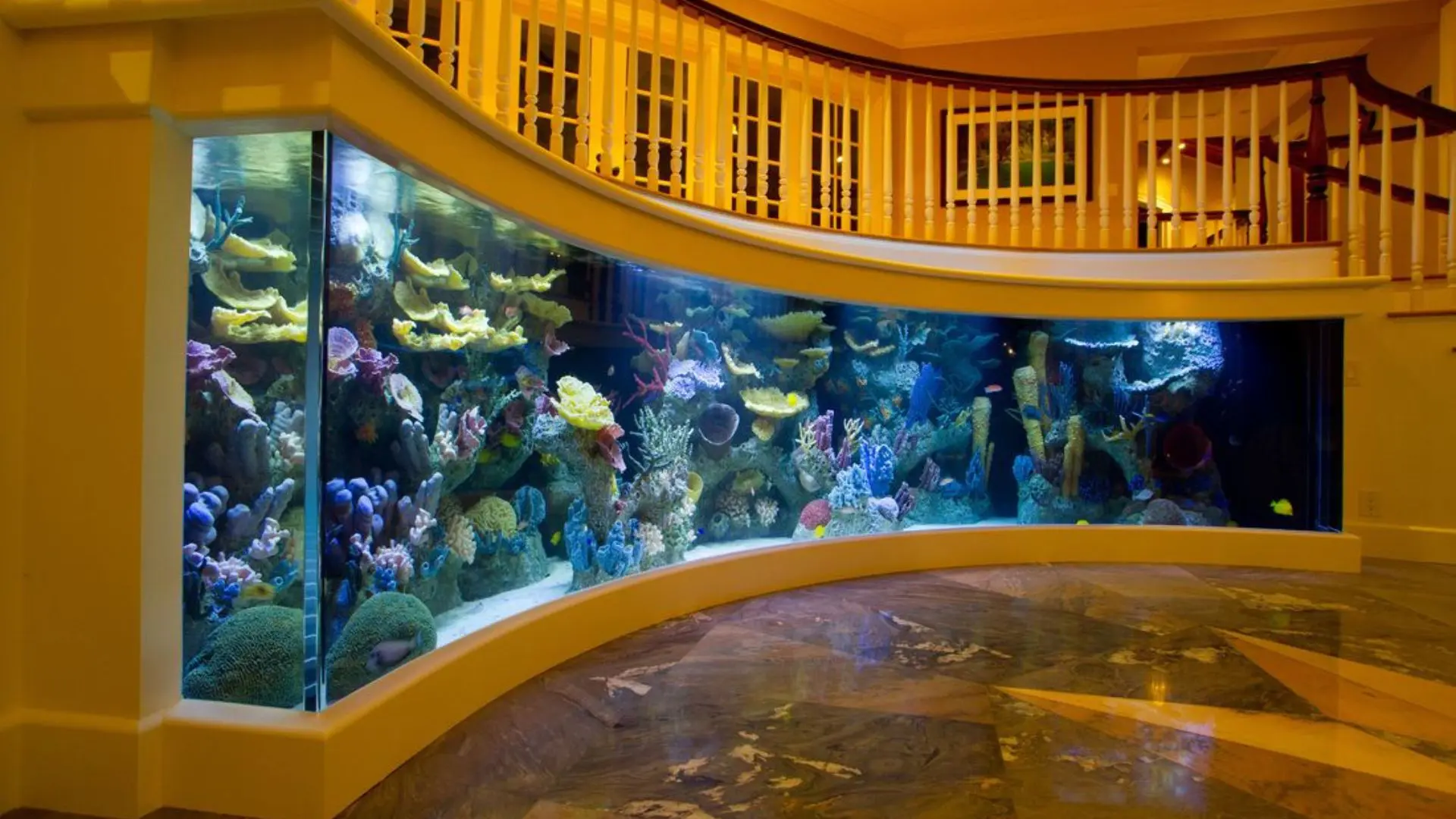 What to Know About Crеating an Acrylic Aquarium