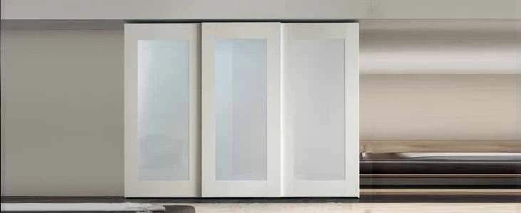 Cabinet Door and Window